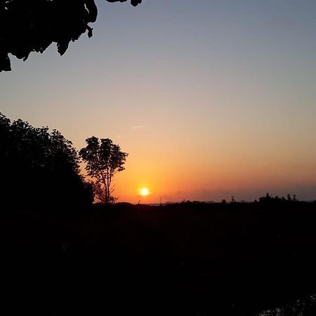 Karimun Lumbung Hotel Karimunjawa Buitenkant foto